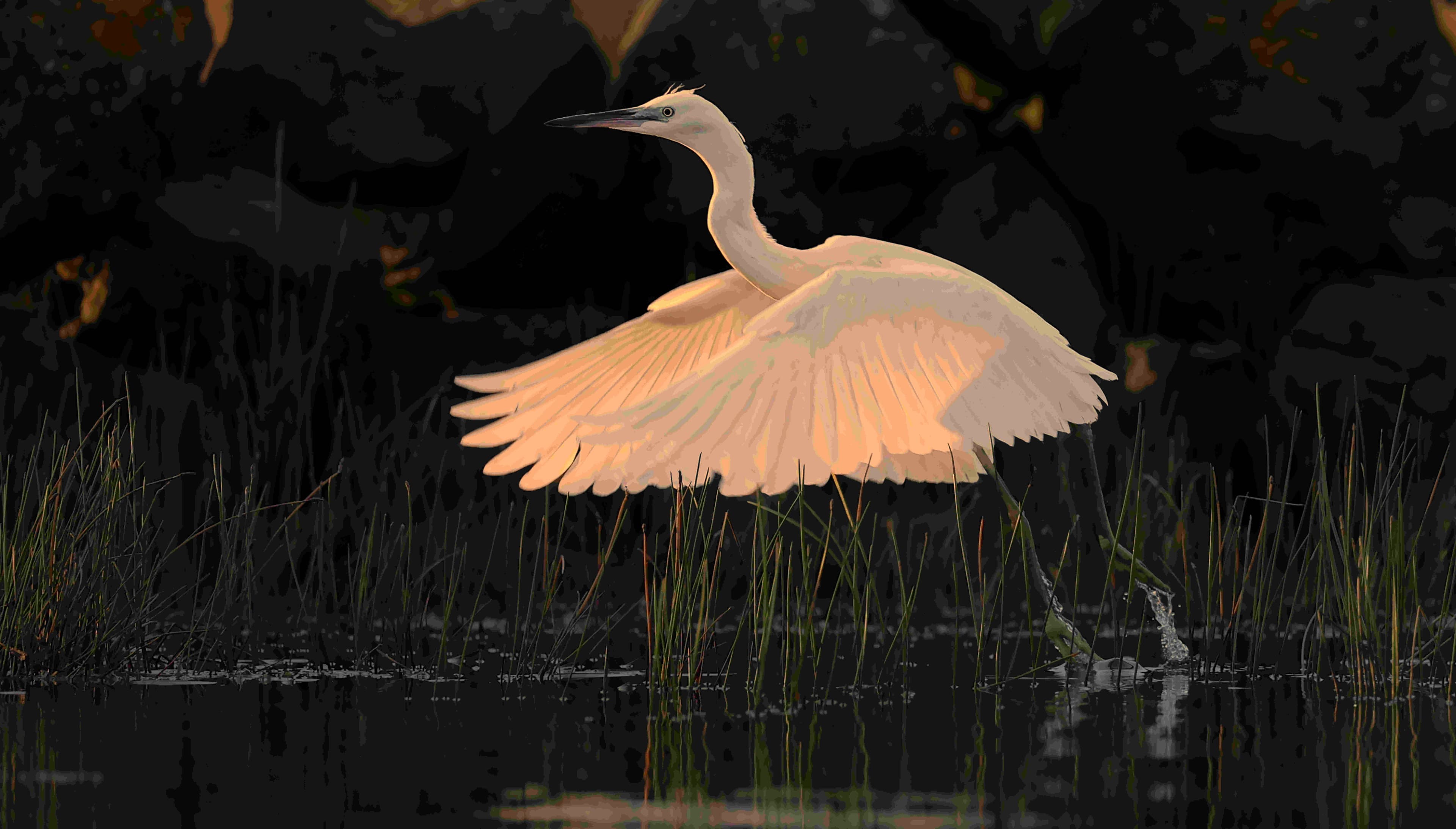 Lacada Brewery taproom in Portrush overlooking the North Coast of Ireland