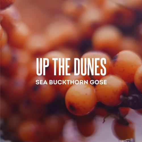 Up the Dunes